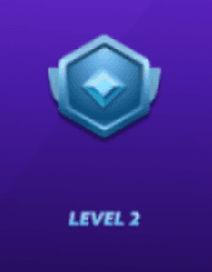 level2