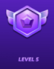 level5